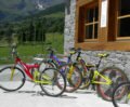 Le MountainBike a noleggio...